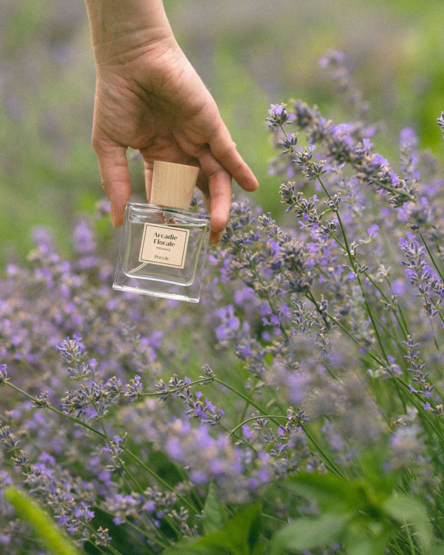 Poécile - Arcadie Florale - Provence - Eau de Parfum