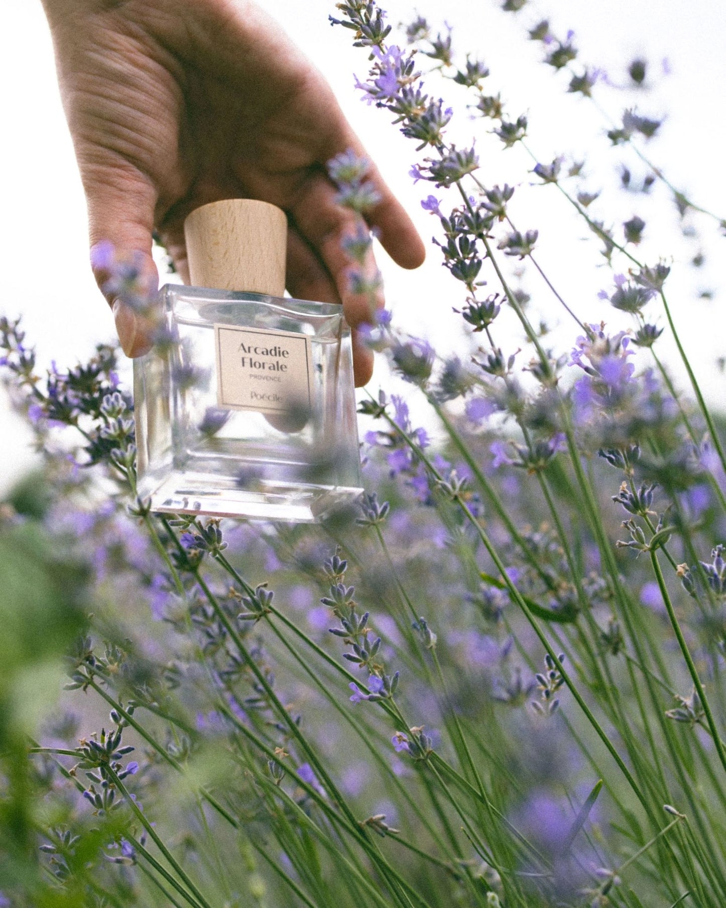 Poécile - Arcadie Florale - Provence - Eau de Parfum
