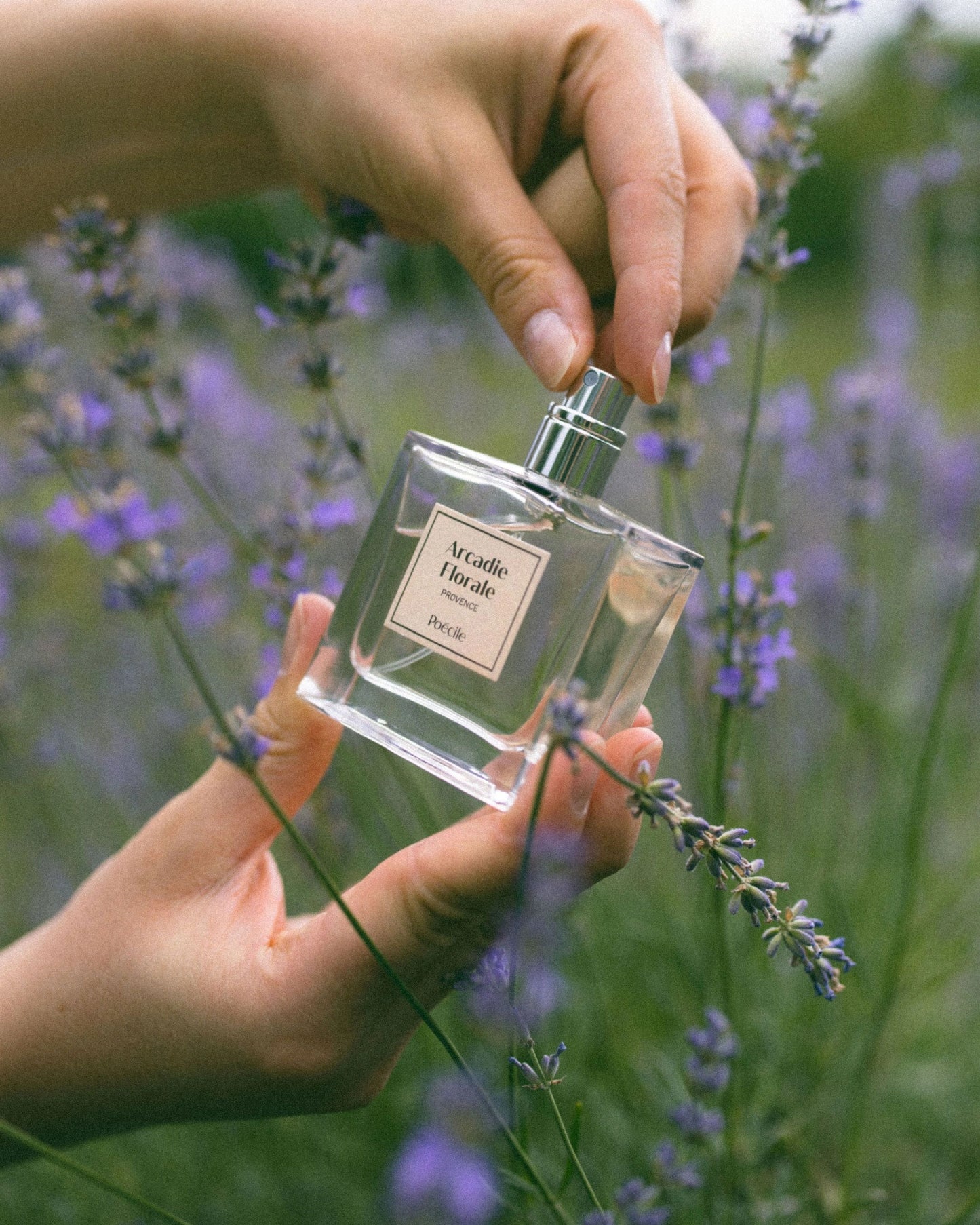 Poécile - Arcadie Florale - Provence - Eau de Parfum