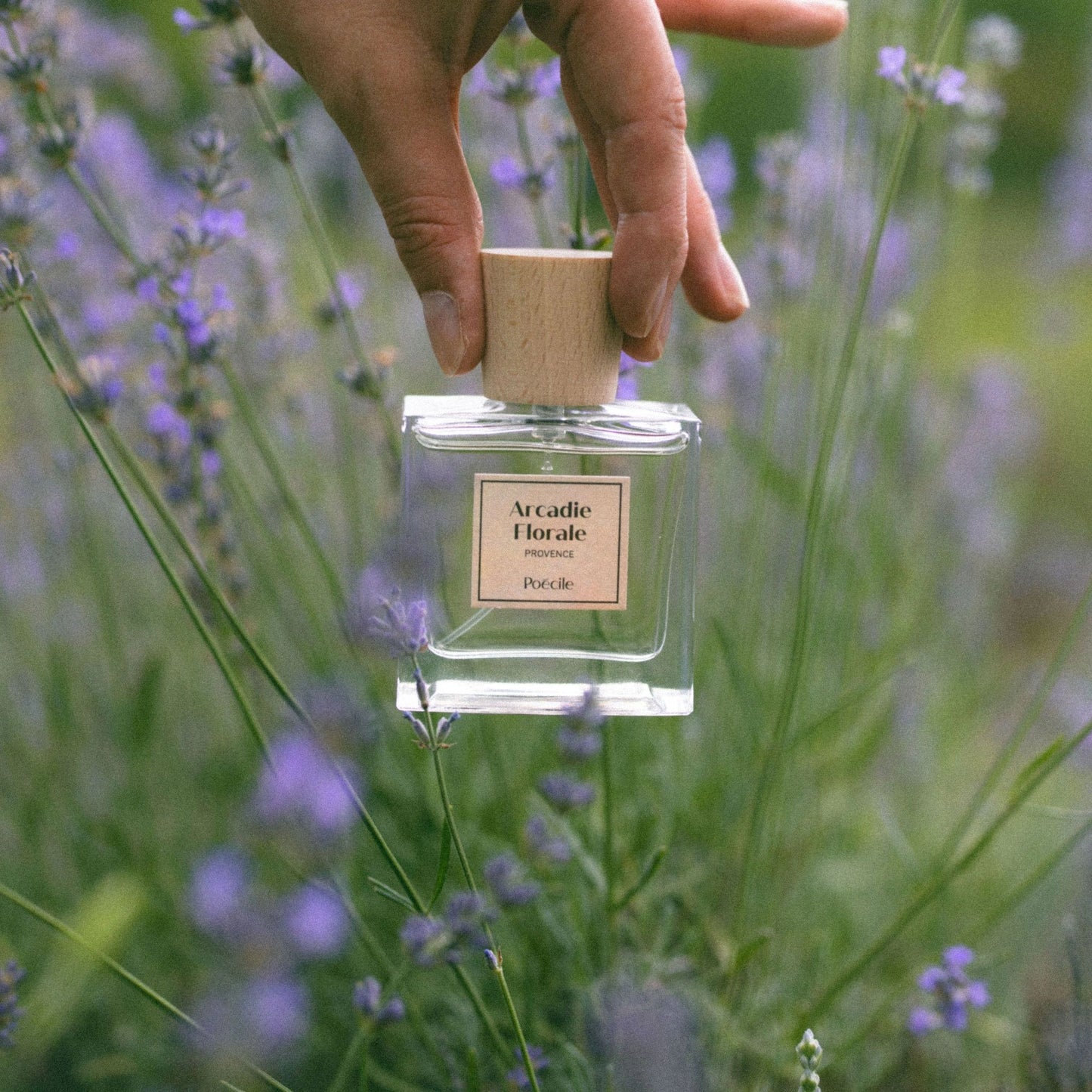 Poécile - Arcadie Florale - Provence - Eau de Parfum