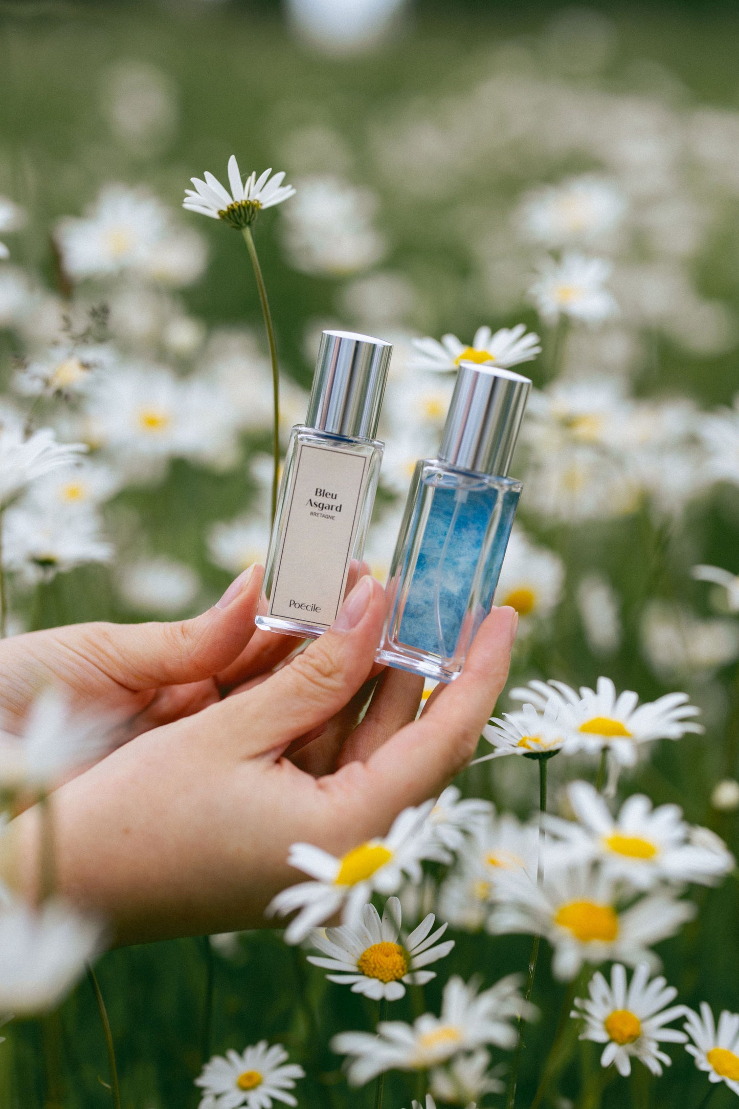 Poécile - Bleu Asgard - Bretagne - Eau de Parfum