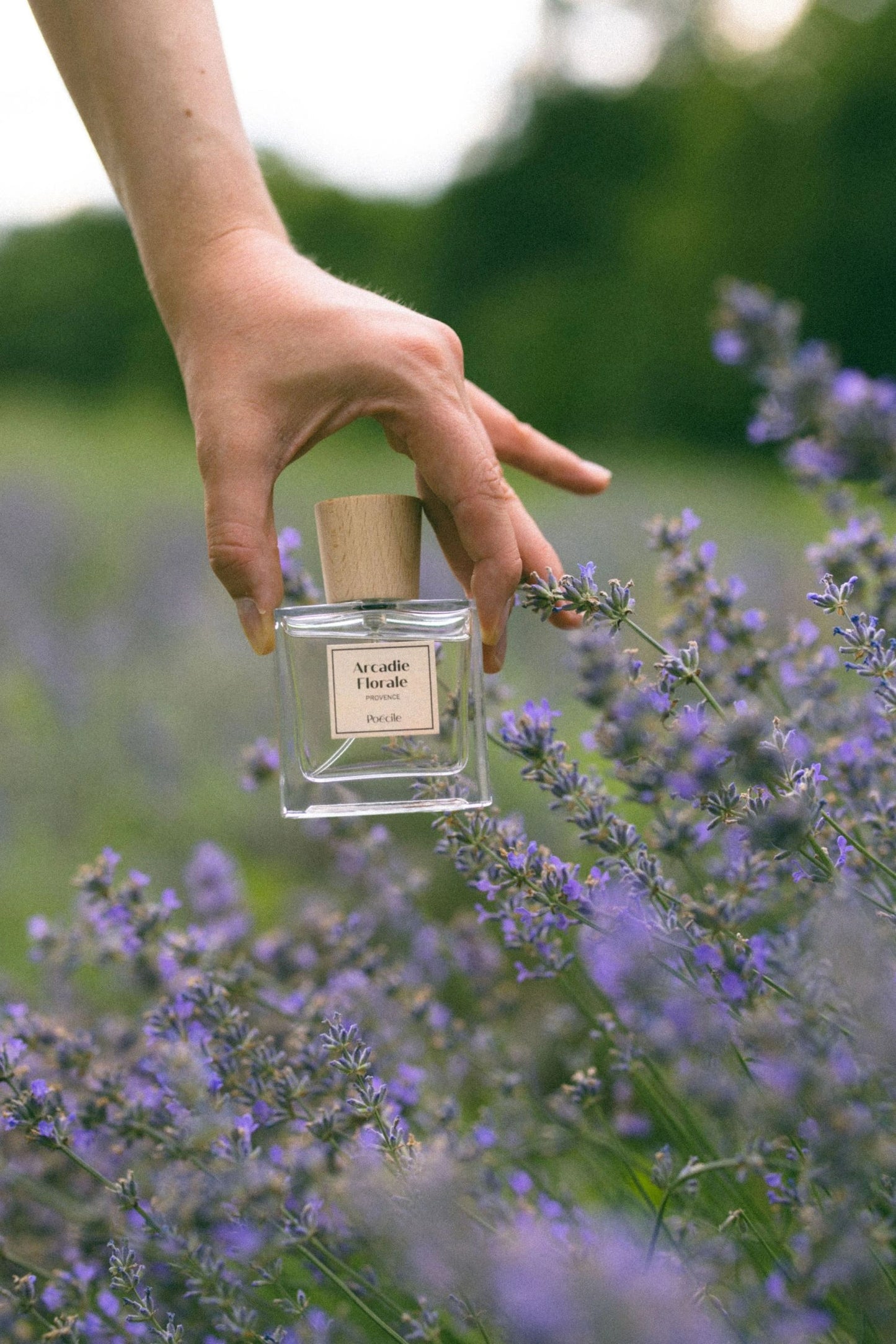 Poécile - Arcadie Florale - Provence - Eau de Parfum